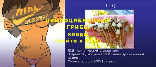 шишки Алексеевка