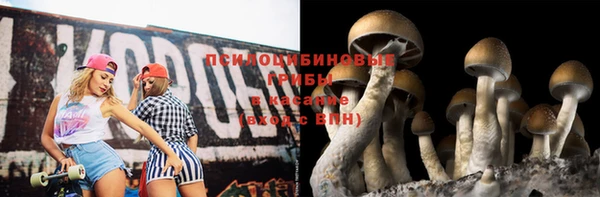 прущие грибы Алзамай