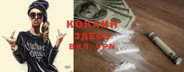 прущие грибы Алзамай