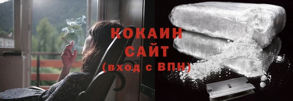 кокс Алексин