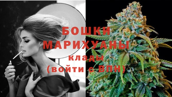 мдпв Вязьма