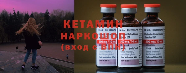 индика Вязники