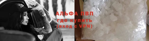 прущие грибы Алзамай