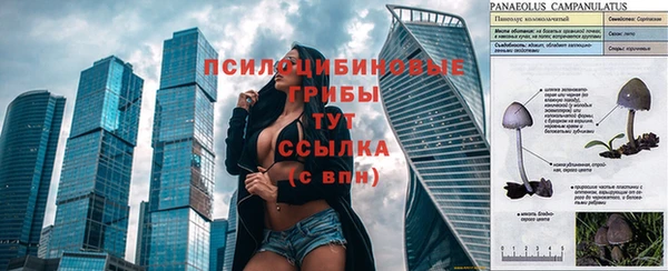 шишки Алексеевка