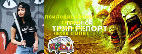 прущие грибы Алзамай