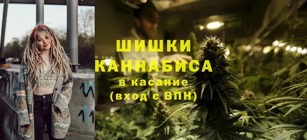 шишки Алексеевка