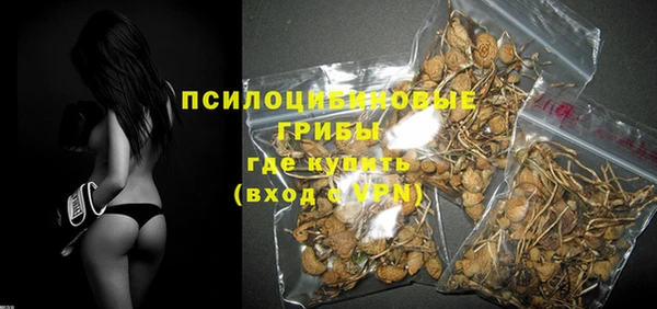 прущие грибы Алзамай