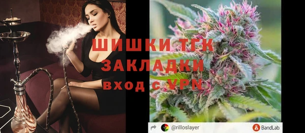 шишки Алексеевка