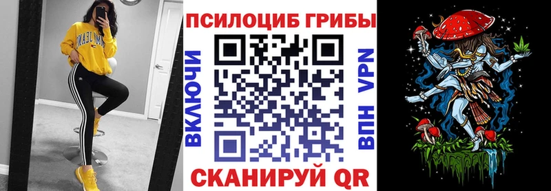 сайты даркнета какой сайт  Солнечногорск  Псилоцибиновые грибы Psilocybine cubensis 